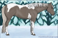 Horse Color:Silver Smoky Black Tobiano 