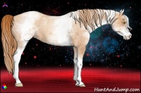 Horse Color:White Spotted Gold Champagne