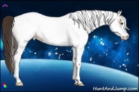 Horse Color:White Spotted Classic Champagne 