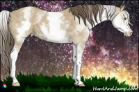 Horse Color:White Spotted Classic Cream Champagne 