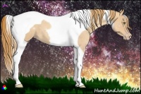 Horse Color:Gold Champagne Tobiano 