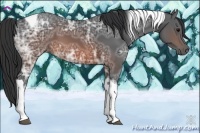 Horse Color:Brown Ice Tobiano