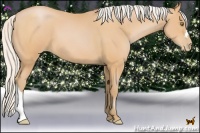 Horse Color:Silver Bay Pearl 