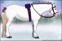 Horse Color:Buckskin Varnish 