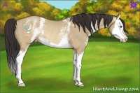 Horse Color:White Spotted Sable Champagne Roan Dun Splash Rabicano