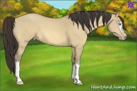 Horse Color:White Spotted Amber Cream Champagne Dun 