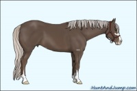 Horse Color:Silver Black Sabino 
