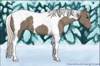 Horse Color:Silver Smoky Black Tobiano 