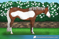 Horse Color:Silver Brown Frame 