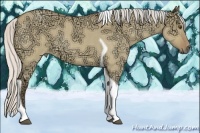 Horse Color:Silver Buckskin Ice Roan Dun Tobiano