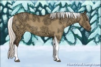 Horse Color:Silver Buckskin Ice Dun Tobiano 