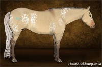 Horse Color:White Spotted Silver Bay Dun Rabicano