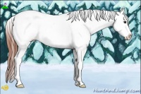 Horse Color:Brown Dun Splash Tobiano Varnish Rabicano