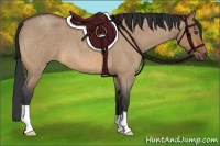 Horse Color:Bay Roan Dun