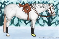 Horse Color:White Spotted Amber Champagne Dun Tobiano Appaloosa