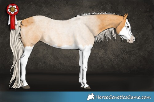 Horse Color:Silver Buckskin Roan Splash 