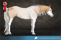 Horse Color:Silver Buckskin Roan Splash