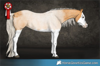 Horse Color:Silver Buckskin Roan Splash