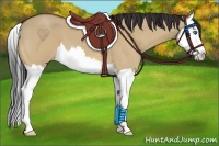 Horse Color:Bay Roan Dun Splash