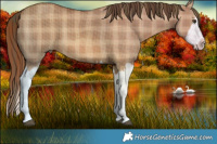Horse Color:Plaid Red Dun Splash Brindle