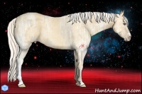 Horse Color:Silver Amber Cream Champagne Ice 
