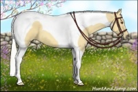 Horse Color:Silver Buckskin Dun Tobiano 