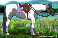 Horse Color:Blue Roan Tobiano