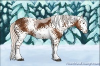 Horse Color:White Spotted Silver Bay Ice Splash