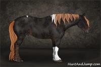 Horse Color:Liver Chestnut Ice Tobiano