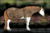 Horse Color:Gold Champagne Ice Splash 