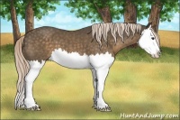 Horse Color:Chocolate Palomino Splash 