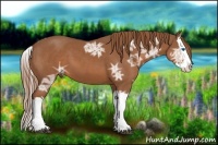 Horse Color:Chestnut Ice Splash 