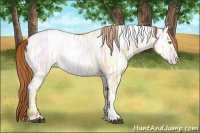 Horse Color:Bay Ice Pearl Dun Tobiano