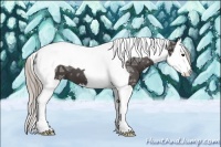 Horse Color:Silver Black Ice Splash Tobiano 