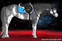 Horse Color:Black Splash Rabicano 