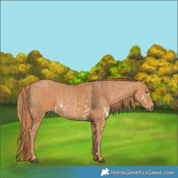 Horse Color:Brown Pearl Splash  Brindle