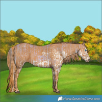 Horse Color:Watercolor Brown Pearl Splash  Brindle