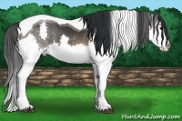 Horse Color:Brown Splash Tobiano 