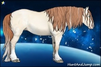 Horse Color:White Spotted Buckskin Pearl Dun Splash Rabicano 