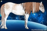 Horse Color:White Spotted Smoky Black Pearl Splash Rabicano 