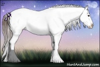Horse Color:Brown Ice Appaloosa 