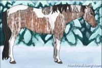 Horse Color:Bay Ice Tobiano