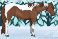 Horse Color:Chestnut Tobiano