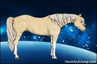 Horse Color:Palomino Tobiano 