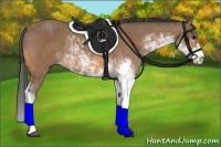 Horse Color:Buckskin Sabino Rabicano 