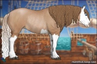 Horse Color:Brown Pearl Splash Rabicano 