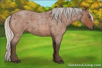 Horse Color:Silver Bay Roan Sabino 