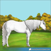 Horse Color:Chocolate Palomino Varnish 