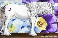 Horse Color:Brown Dun Splash Appaloosa  Brindle