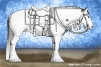 Horse Color:Grullo Splash Tobiano